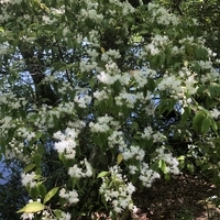 f:id:ovalis:20210503200223j:plain:right