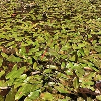 f:id:ovalis:20211010144052j:plain:right