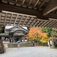 f:id:ovalis:20211123190146j:plain:right