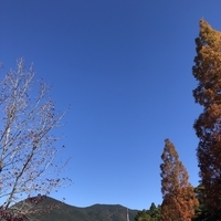 f:id:ovalis:20211129113107j:plain:right