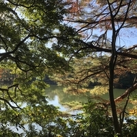 f:id:ovalis:20211129113130j:plain:right