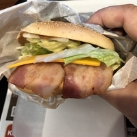 f:id:ovalis:20220126133522j:plain:right