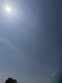 20260326132942
