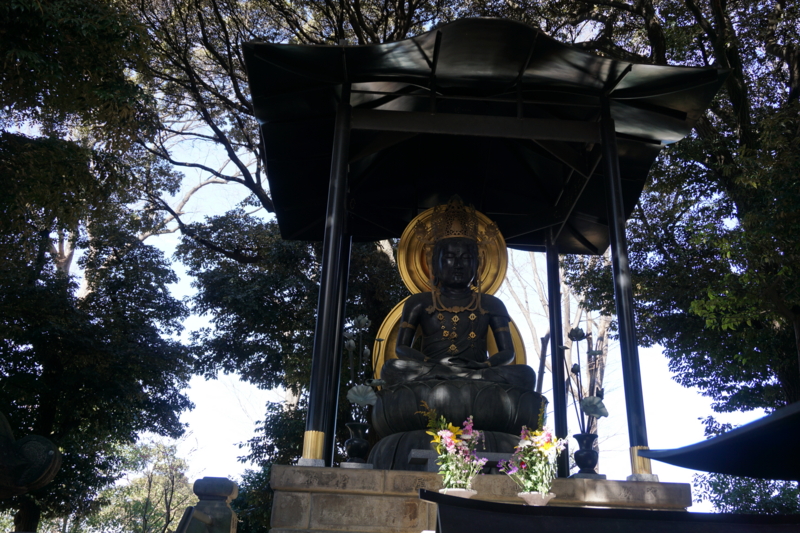 f:id:ovanrei:20170219121647j:image:w360