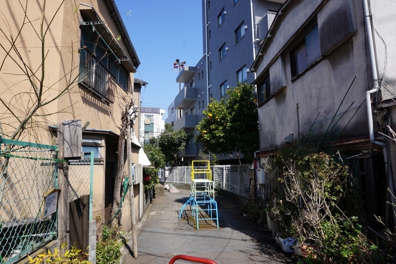 f:id:ovanrei:20180307065245j:image:w360