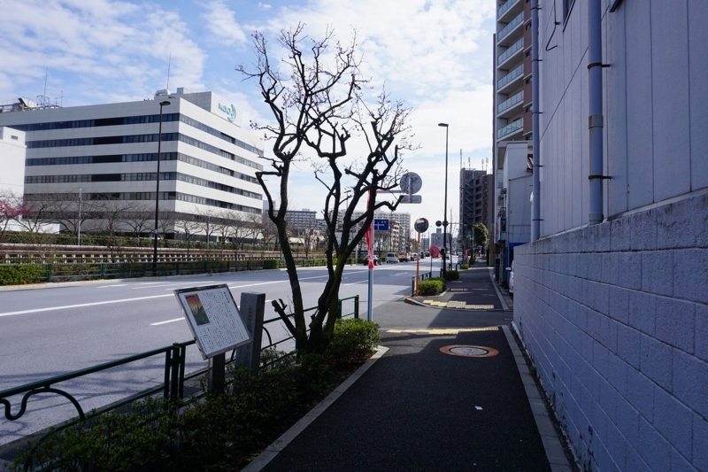 f:id:ovanrei:20180311110819j:image:w360 f:id:ovanrei:20180311110819j:image:w360