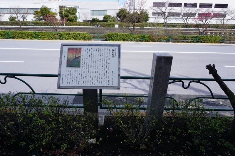 f:id:ovanrei:20180311110820j:image:w360 f:id:ovanrei:20180311110820j:image:w360