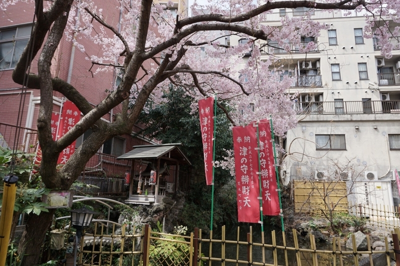 f:id:ovanrei:20180401110414j:image:w360 f:id:ovanrei:20180401110414j:image:w360
