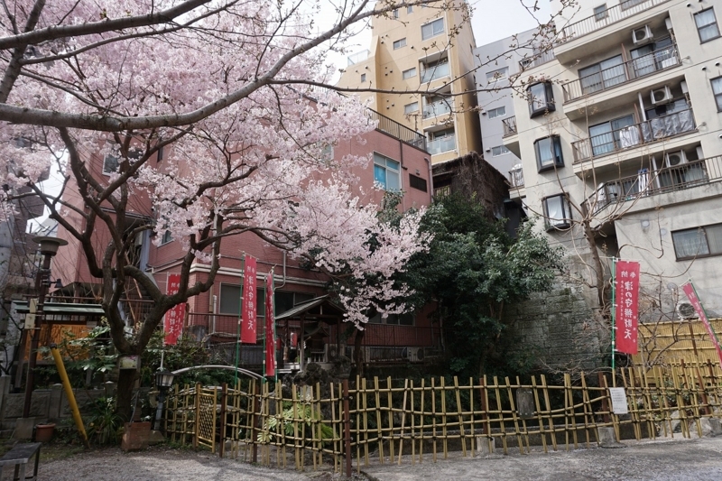 f:id:ovanrei:20180401110416j:image:w360 f:id:ovanrei:20180401110416j:image:w360
