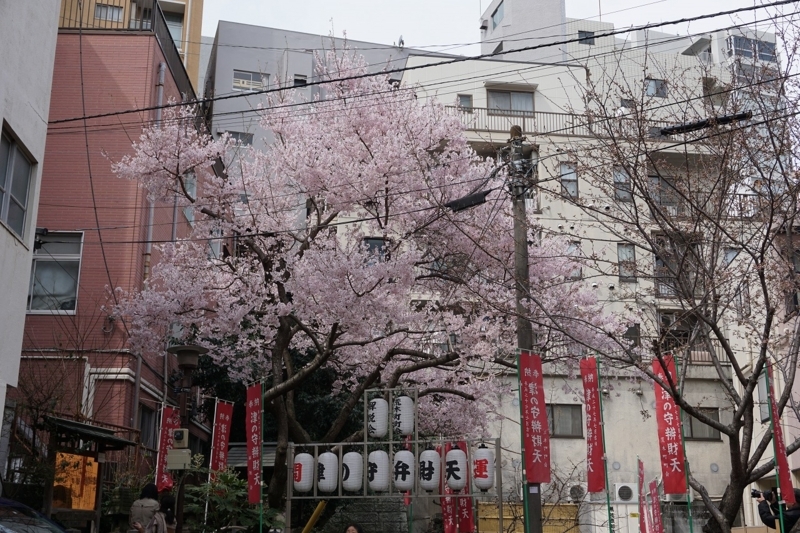 f:id:ovanrei:20180401110417j:image:w360 f:id:ovanrei:20180401110417j:image:w360