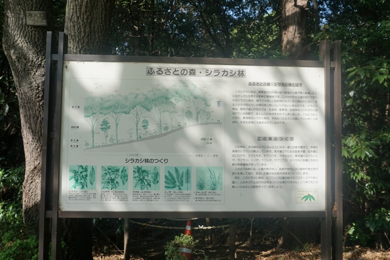 f:id:ovanrei:20180501002835j:image:w360