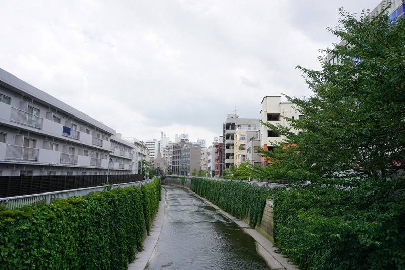 f:id:ovanrei:20180731142539j:image:w360