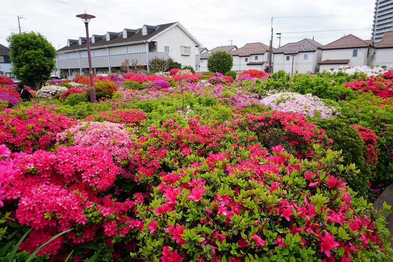 f:id:ovanrei:20190430130527j:image:w360