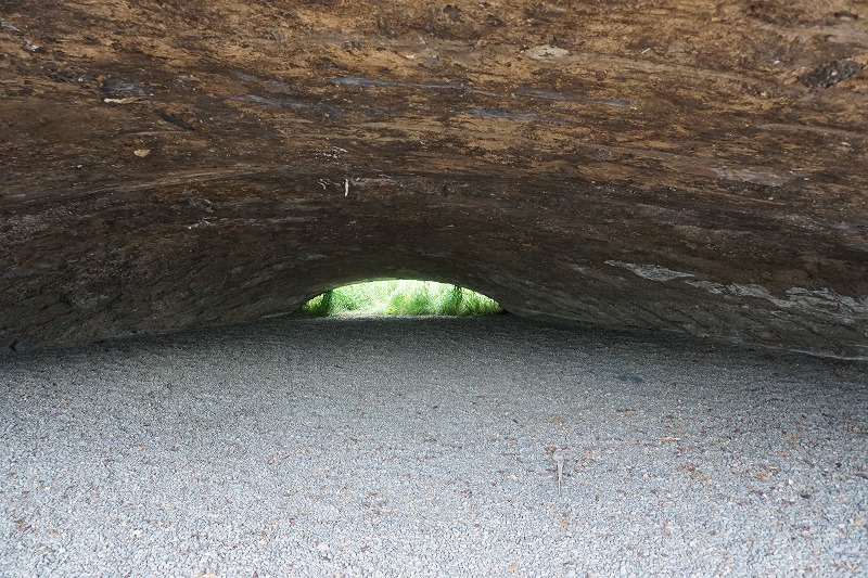 f:id:ovanrei:20190505201246j:image:w360