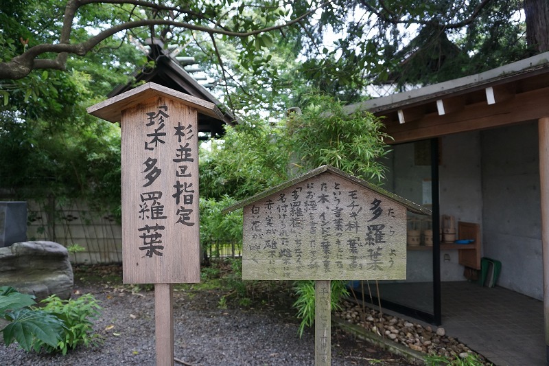 f:id:ovanrei:20190719155304j:image:w360