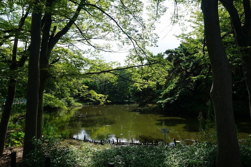 f:id:ovanrei:20190901035538j:image:w360 f:id:ovanrei:20190901035538j:image:w360