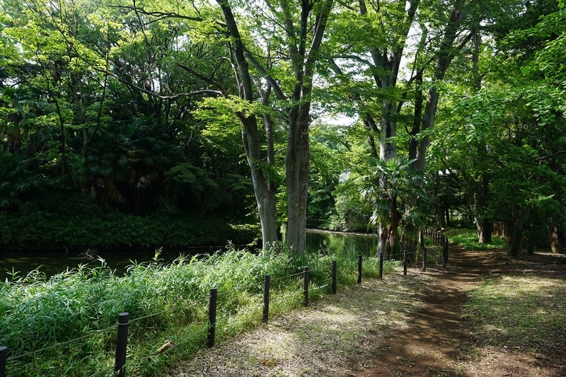 f:id:ovanrei:20190901035544j:image:w360 f:id:ovanrei:20190901035544j:image:w360