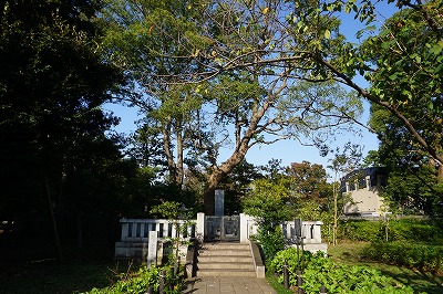 f:id:ovanrei:20191107014947j:image:w360 f:id:ovanrei:20191107014947j:image:w360