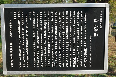 f:id:ovanrei:20191107014951j:image:w360 f:id:ovanrei:20191107014951j:image:w360