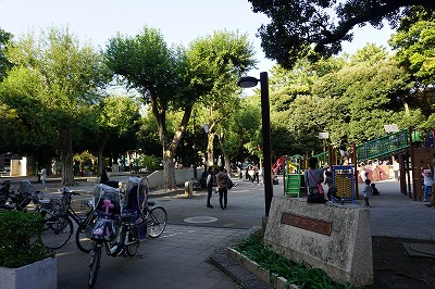 f:id:ovanrei:20191107015020j:image:w360 f:id:ovanrei:20191107015020j:image:w360