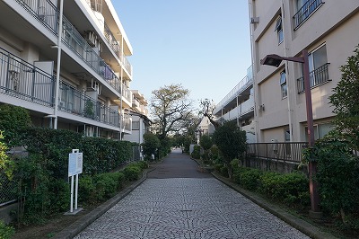 f:id:ovanrei:20191107015443j:image:w360 f:id:ovanrei:20191107015443j:image:w360