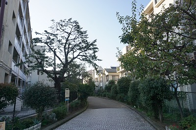 f:id:ovanrei:20191107015534j:image:w360 f:id:ovanrei:20191107015534j:image:w360