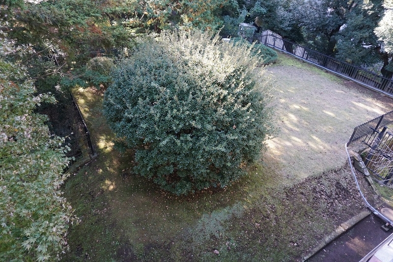 f:id:ovanrei:20191201173958j:image:w360