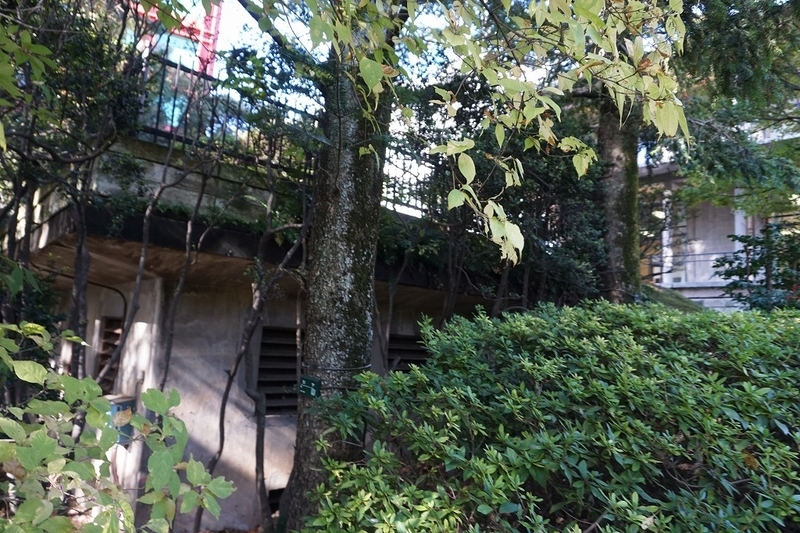 f:id:ovanrei:20191201174011j:image:w360