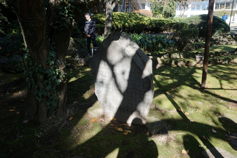 f:id:ovanrei:20191201174022j:image:w360