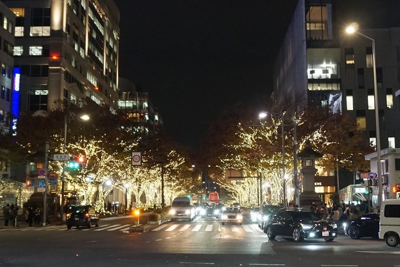 f:id:ovanrei:20191204171637j:plain f:id:ovanrei:20191204171637j:plain