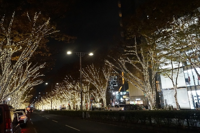 f:id:ovanrei:20191204171713j:plain f:id:ovanrei:20191204171713j:plain