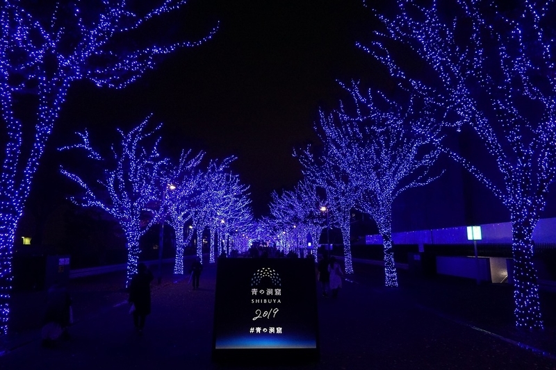f:id:ovanrei:20191204171833j:plain f:id:ovanrei:20191204171833j:plain