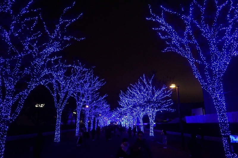 f:id:ovanrei:20191204171841j:plain f:id:ovanrei:20191204171841j:plain