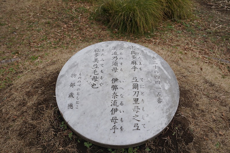 f:id:ovanrei:20200216121957j:plain f:id:ovanrei:20200216121957j:plain