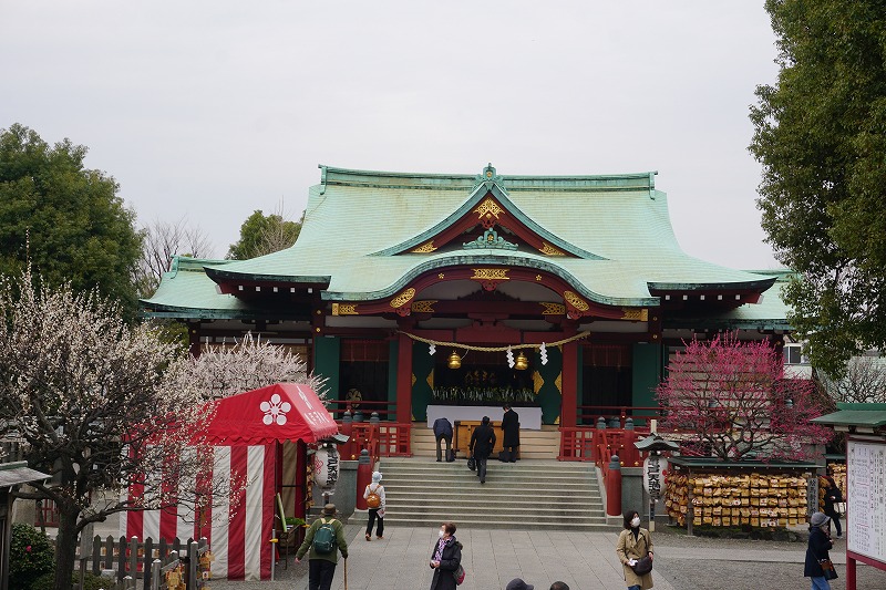 02 25 01 亀戸天神梅まつり Ovanの社会科見学 02 25 01 亀戸天神梅まつり Ovanの社会科見学