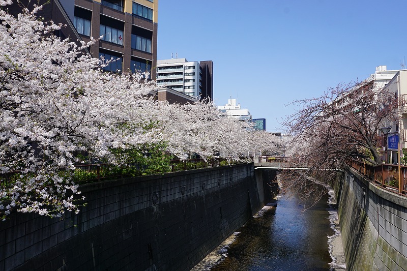 2020/04/02 中目黒散歩 02 別所坂/目黒氏館跡/さいかち橋歩道橋/皀樹橋/宝来橋/日の出橋/別所橋 - ovanの社会科見学