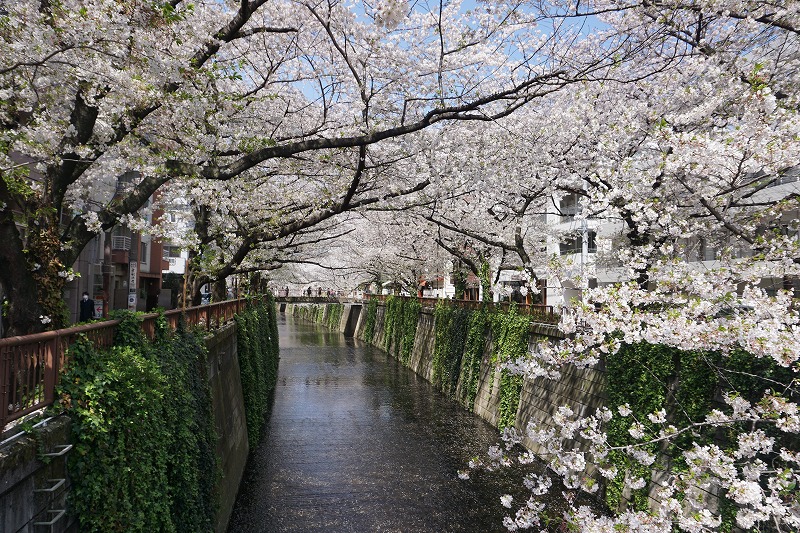 2020/04/02 中目黒散歩 02 別所坂/目黒氏館跡/さいかち橋歩道橋/皀樹橋/宝来橋/日の出橋/別所橋 - ovanの社会科見学