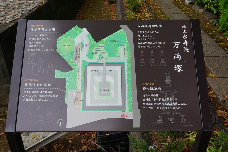 f:id:ovanrei:20200510210243j:image:w360