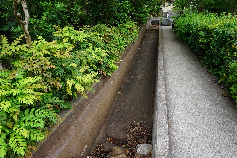 f:id:ovanrei:20200510210318j:image:w360