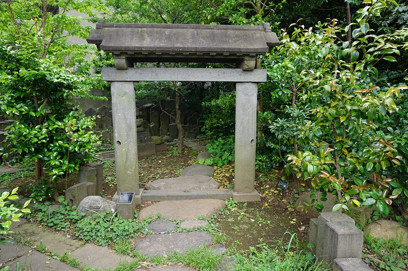 f:id:ovanrei:20200510210411j:image:w360