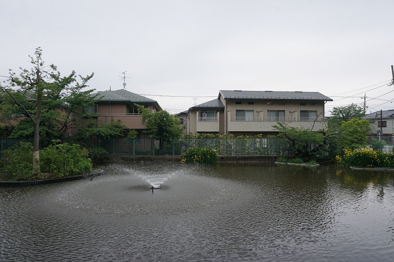 f:id:ovanrei:20200510210508j:image:w360