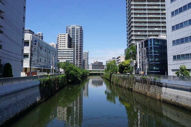 f:id:ovanrei:20200517181212j:image:w360 f:id:ovanrei:20200517181212j:image:w360