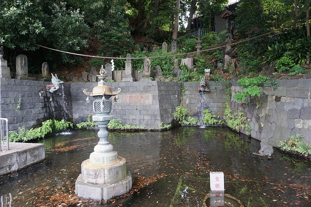 f:id:ovanrei:20200524092922j:image:w360