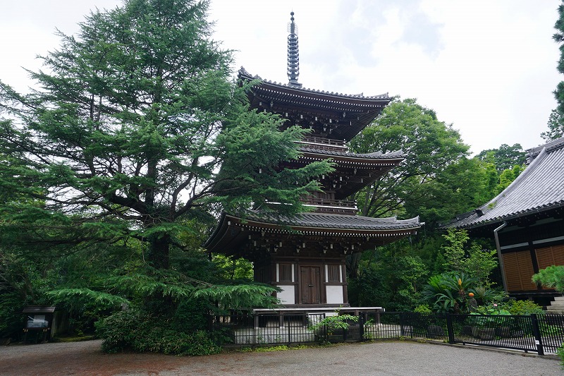 f:id:ovanrei:20200720144054j:image:w360 f:id:ovanrei:20200720144054j:image:w360