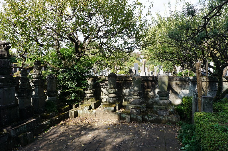 f:id:ovanrei:20201101101914j:plain f:id:ovanrei:20201101101914j:plain