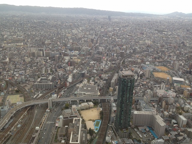f:id:ovanrei:20201112221521j:plain f:id:ovanrei:20201112221521j:plain