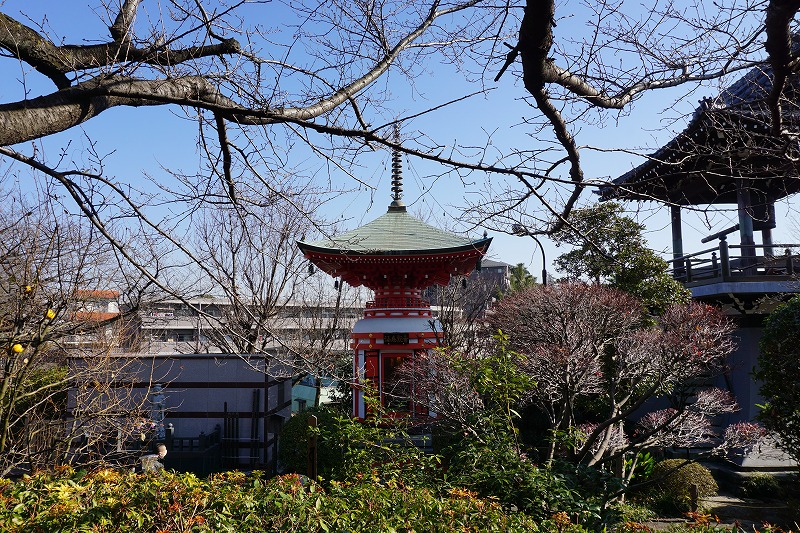 f:id:ovanrei:20210108103633j:image:w360