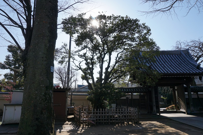 f:id:ovanrei:20210108104009j:image:w360