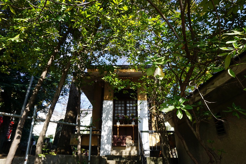 f:id:ovanrei:20210226123930j:image:w360