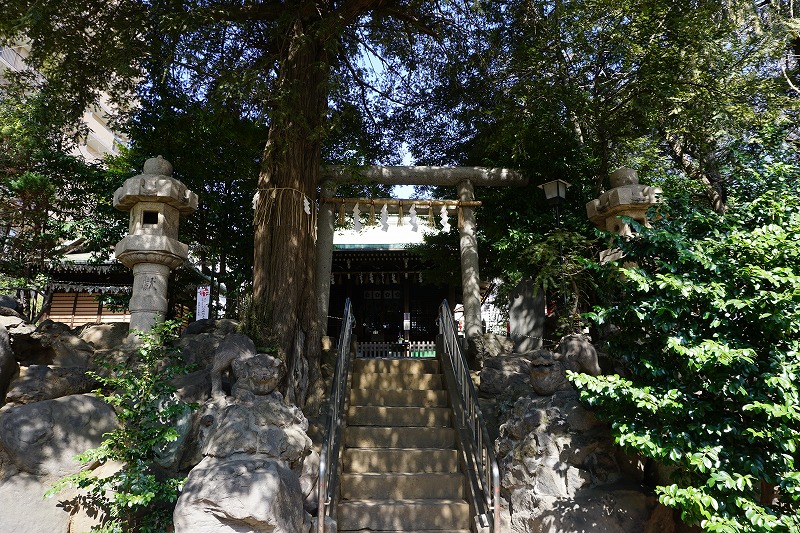 f:id:ovanrei:20210226124000j:image:w360